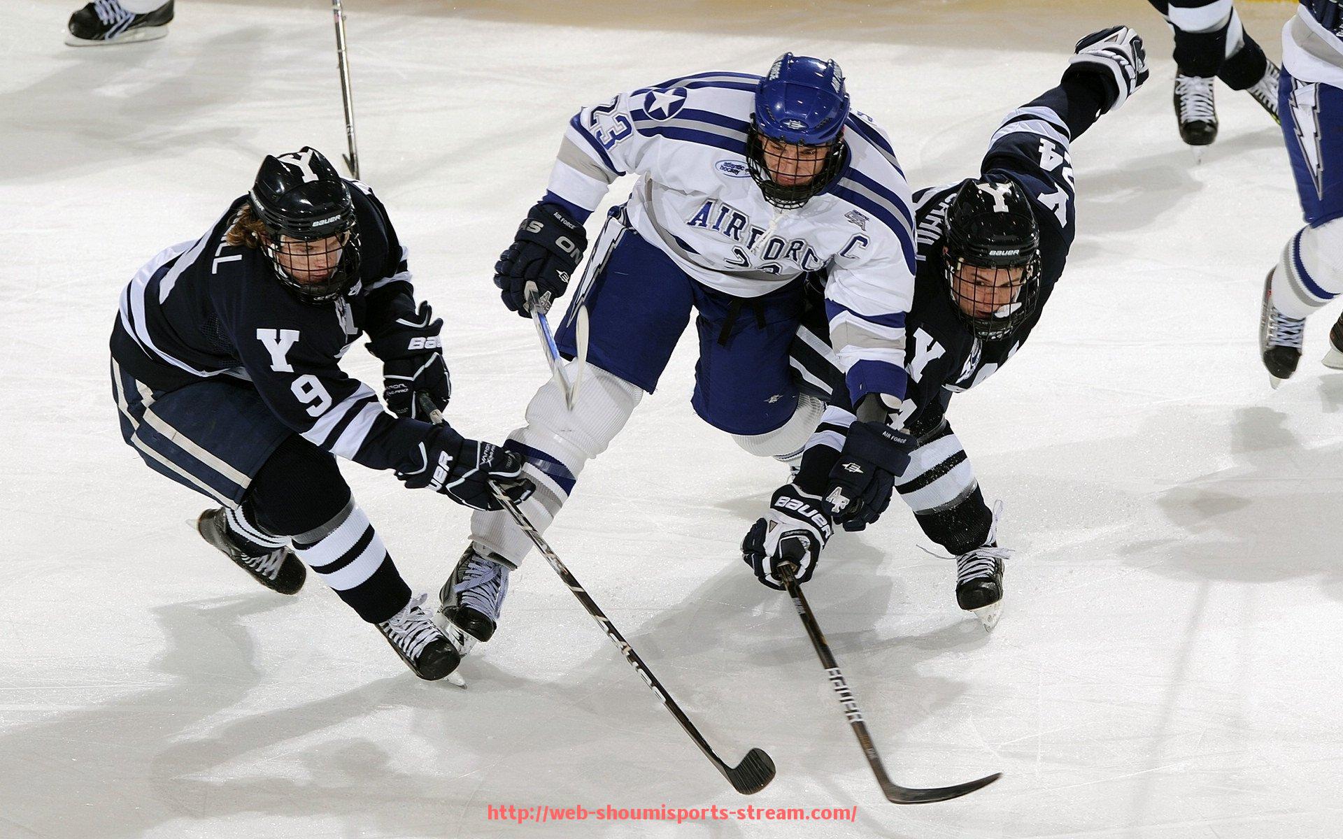 收米体育直播-世俱杯赞助资金分配管理制度建设与优化