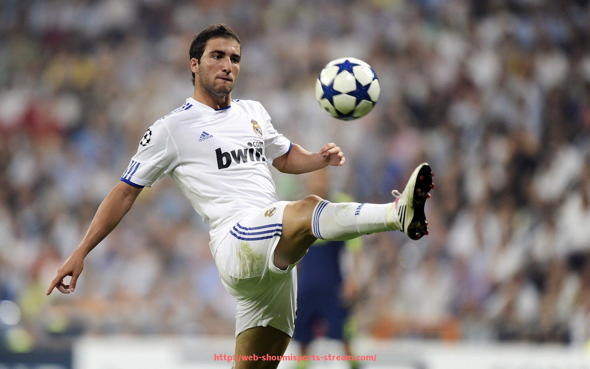 收米体育直播-划船健身器材维护及破损处理指南